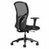 216 9to5seating task chair back • Ships in 24 hours • Five-year warranty • Assembly required • Warranted to 300 lbs. • Graphite mesh back • Air grid mesh seat • 3" thick molded foam