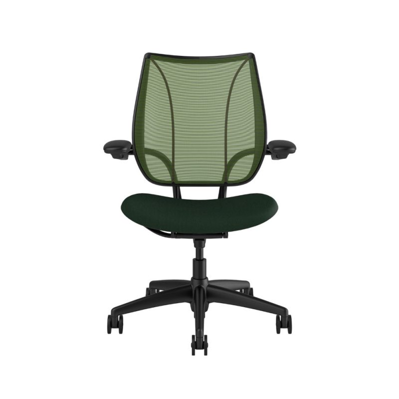 Humanscale liberty black frame green mesh balsam fabric 2 <ul> <li>Ergonomic Mesh Chair</li> <li>Adjustable Duron Arms</li> <li>Standard Foam Seat Pan</li> <li>Standard Cylinder 5"</li> <li>Standard Hard Casters</li> <li>Standard Matching Base</li> <li>Weight Capacity up to 300 lbs</li> </ul>