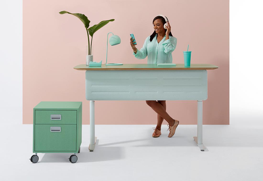 DARRAN_Chameleon_standing_desk