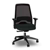 Interstuhl Everyis1 Task Chair all black
