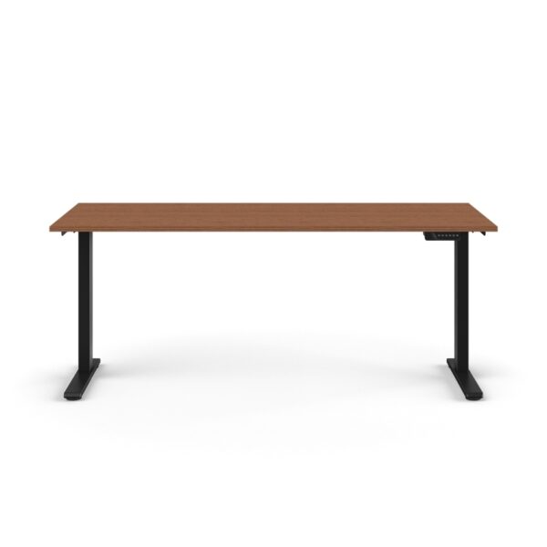 humanscale-efloatgo-2-black-base-29x70-walnut-venner-c-foot-front-view.jpg humanscale efloatgo 2 black base 29x70 walnut venner c foot front view <ul> <li>Accommodates worksurfaces 48”- 72” and depths from 24-30"</li> <li>Quieter Motors</li> <li>C Foot with Glides</li> <li>Digital Programmable handset with USB Charging</li> <li>Enhanced gyroscopic anti-collision</li> <li>5 year warranty</li> <li><strong><span style="color: #339966;">Ships within 3 - 4 weeks</span></strong></li> <li>Bamboo Available Sizes 23" X 46" & 29" X 58"</li> </ul>